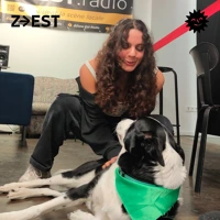 Surprise ! Surprise ! - Laurène ipsum invite Agapë Soundcloud podcast image for Surprise ! Surprise ! - Laurène ipsum invite Agapë