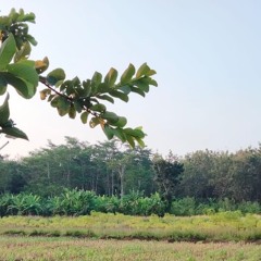 NYAWIJI_-_Difarina_Indra_Adella_-_OM_ADELLA(128k).mp3