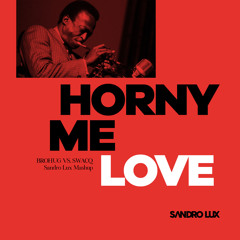 (Free Download) BROHUG Ft. Robin S Vs SWACQ - Horny Me Love (Sandro Lux Mashup)