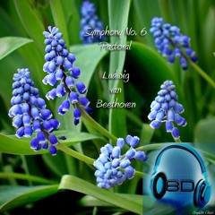 Symphony No. 6 In F Major, Op. 68 'Pastoral'- II Andante molto mosso - Scene by the brook - Ludwig Van Beethoven (8D Binaural Remastered - Music Therapy)