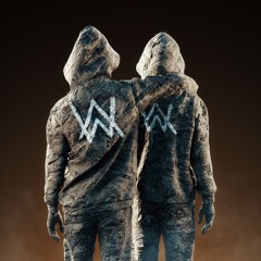 Alan Walker & Sasha Alex Sloan - Hero (Restrung)