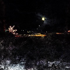 Solo (prod. funeral service)