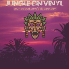 Jungle MiniMix (100% Vinyl)