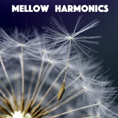 Mellow Harmonics