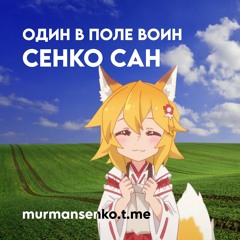 Сенко - Один в поле воин