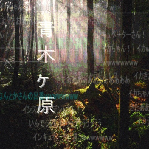 Aokigahara