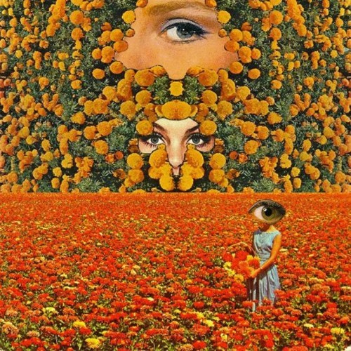 Liberal Arts form background 👽FREE DOWNLOAD👽