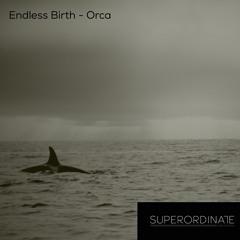 Endless Birth - Lars Finally Released a Track [Superordinate Dub Waves]