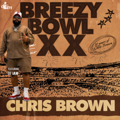 Chris Brown Breezy Bowl Tour Official DJ Mix | DJ iAM