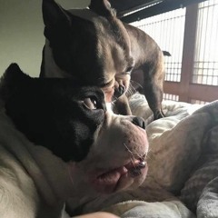 digging into trip 54 flower