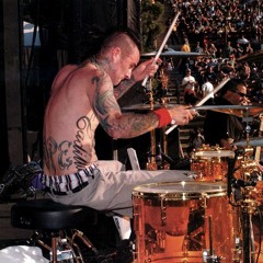 blink-182 - Give Me One Good Reason (Drums)