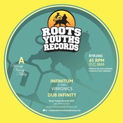 Vibronics : "Dub Infinity" (10" Roots Youths Records)