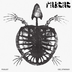 CEE_STRATA001: Pugilist
