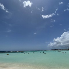 PVTSEXX 3 (WAWIS EDITION)