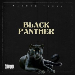 Black Panther (Diss 18_) _ Talhah Yunus _ Prod. Umair Khan (Official Music Video) ( 160kbps ).mp3