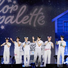 NCT WISH 엔시티 위시 고양이 릴스 (Reel-ationship) @COLOR PALETTE 라이브