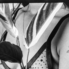 Cow song by Meredith Monk - interpretación Noe.