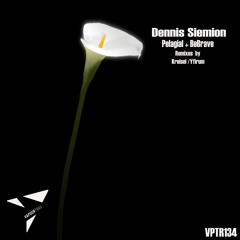 Dennis Siemion - BeBrave(Original Mix) [VPTR134]