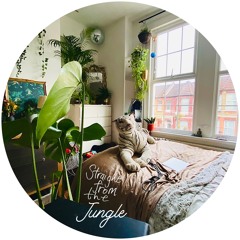 Straight From The Jungle [FREE DOWNLOAD]