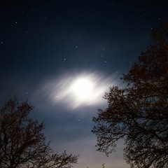 Ensam, framåt i natten - DEMO