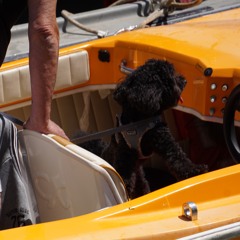 Seleção de Domingo 𖥔 Alvise Tramonte