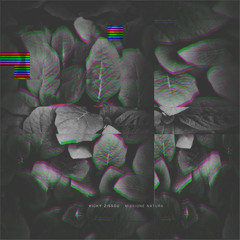 MNMT Premiere: Vicky Zissou – May