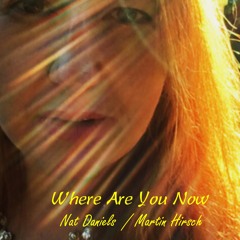 Where Are You Now  - Nat Daniels & Martin Hirsch