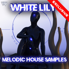 White Lily - Melodic Techno & House Samples