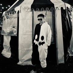 Mason vs Princess Superstar - Perfect (Exceeder) (WZW Flip) Freedownload