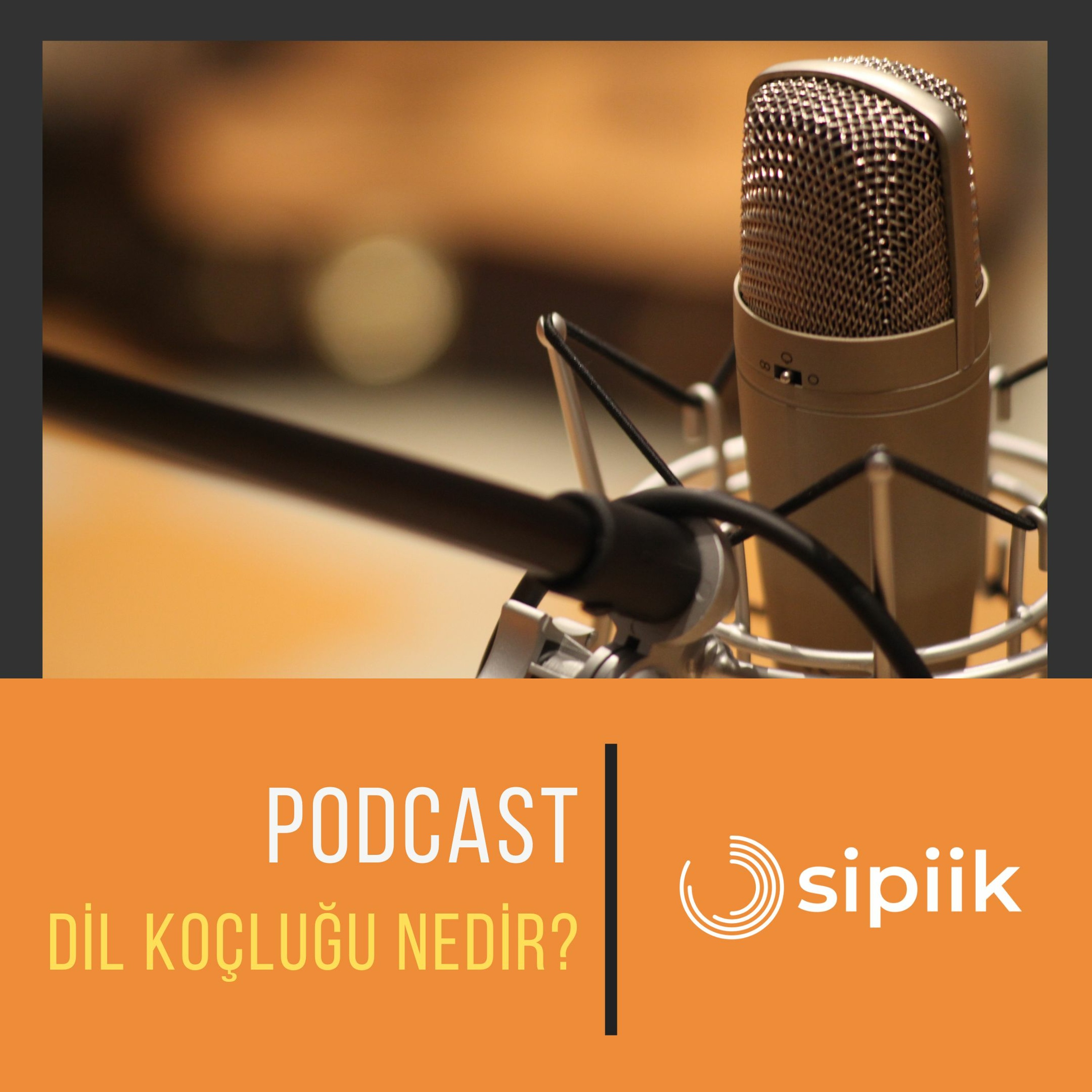 Sipiik