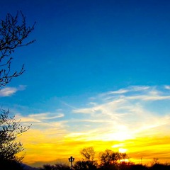Spring's Sun