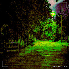 Face of Fury by Kreagato ft. niffirg- 201 Street