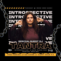 LIVE SET: INTROSPECTIVE 8/20/24