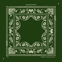 am - Wrong House Fool! | Free DL