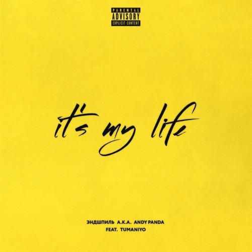 It's My Life (feat. TumaniYO)