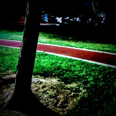 A Song from the Park.m4a