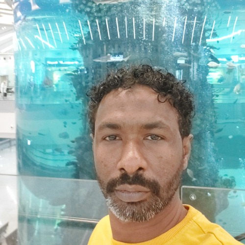 HaMaD
