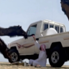 بعنادك صعب تقدرلي