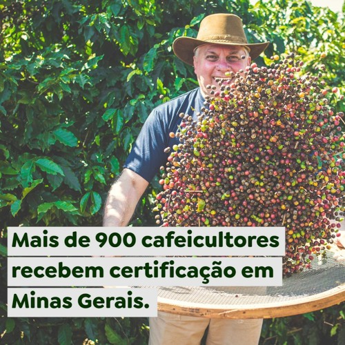 Mais de 900 cafeicultores recebem certificação em Minas Gerais