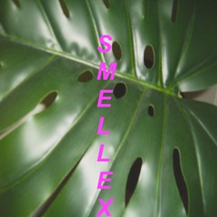 Smellex (Feel)