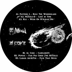 B1. Al Core - Cameloid23