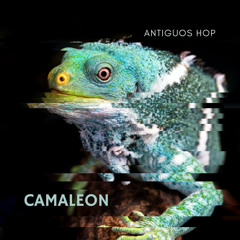 Camaleon