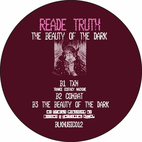 B3 SNIPPET THE BEAUTY OF THE DARK