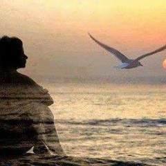 Maxay taraysaa ?  Turjumada iyo codeynta - Guryasame