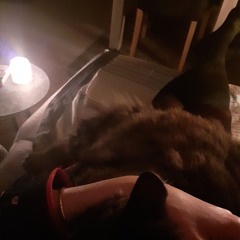 Untitled Playlist_how to enjoy S an adult