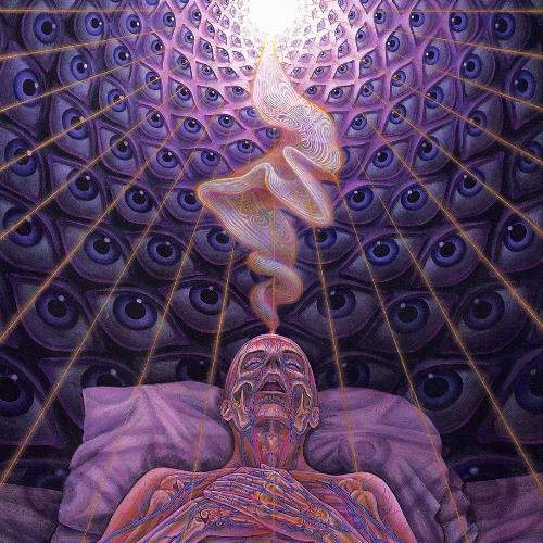 downloading consciousness