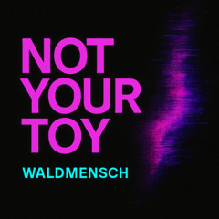 Not Your Toy (Horny Edition)