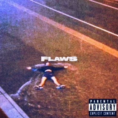 Flaws (feat. @QUANOLXVE) (prod. ross gossage & max flynn)