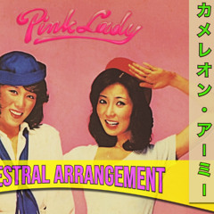 Pink Lady - カメレオン・アーミー (Orchestral Arrangement)