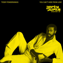 Teddy Pendergrass - You Can't Hide From Love (Party Pupils Remix)